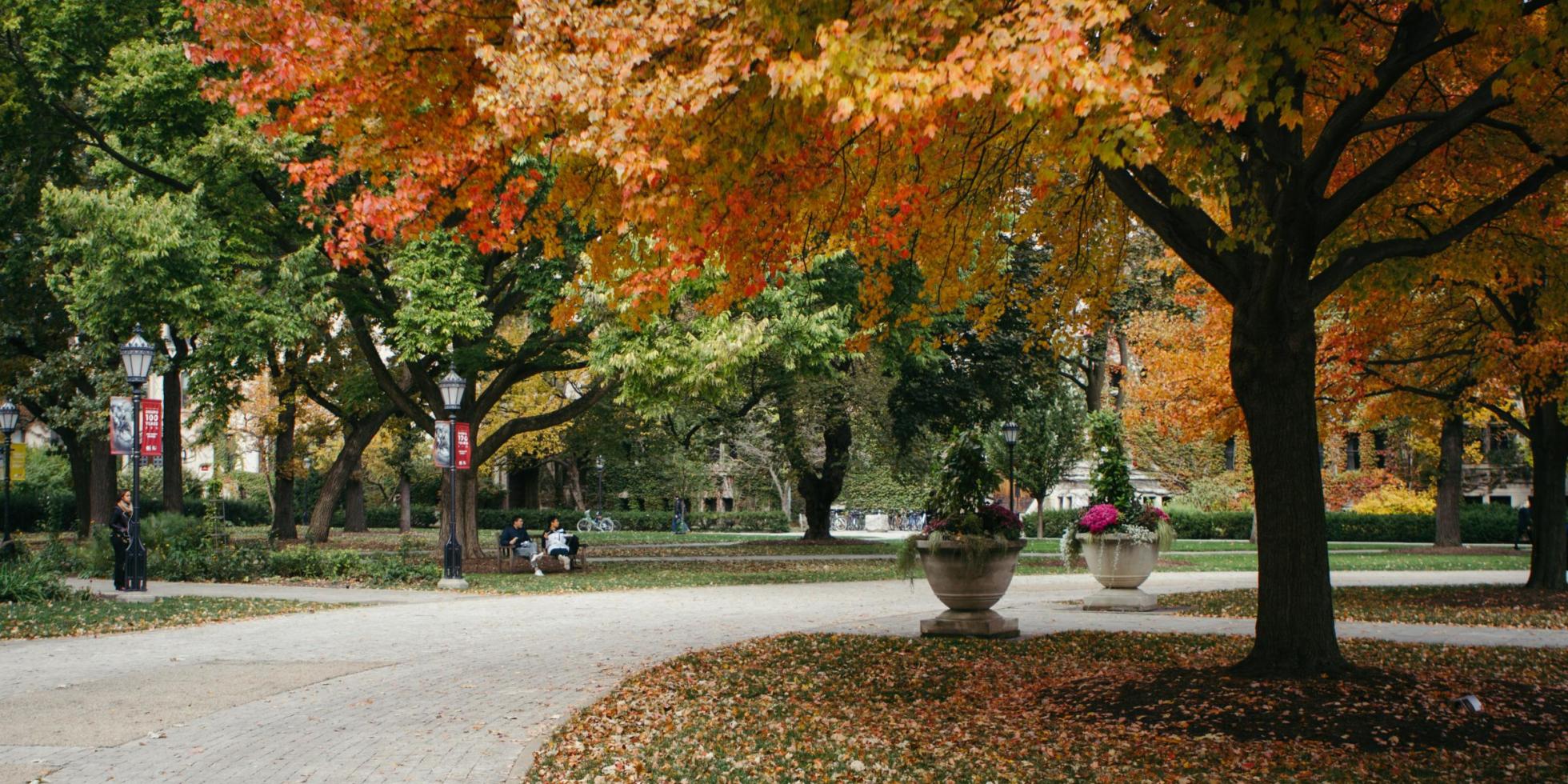 UChicago Campus in Fall