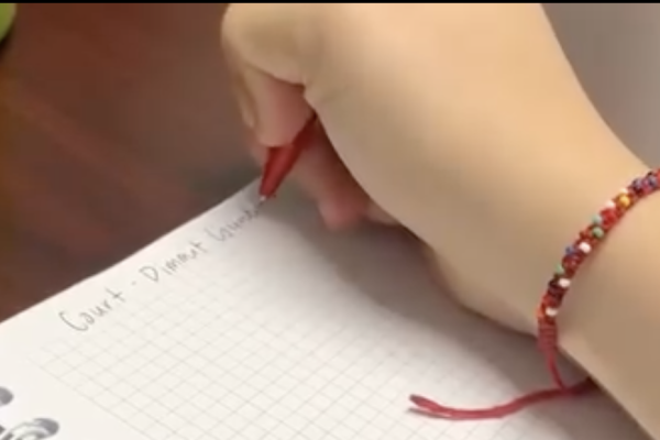 Image of a hand holding a pen being used to write in a notebook.